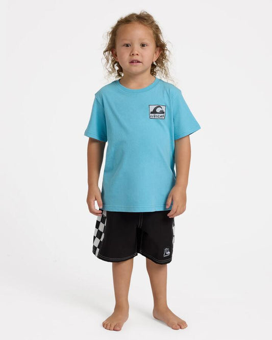 Image of T-Shirts. Product name - Quiksilver Boys 2-7 Pitted T-Shirt Stillwater in Stillwater colour by brand - Quiksilver