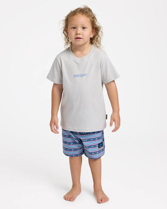 Image of T-Shirts. Product name - Quiksilver Boys 2-7 Wax On T-Shirt Gray Violet in Gray Violet colour by brand - Quiksilver