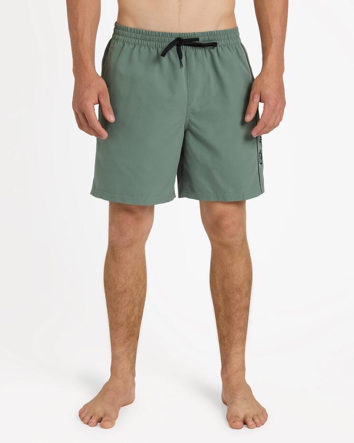 Image of a model wearing Shorts. Product name - Quiksilver Mens Everyday Vert 2.0 17" Volley Shorts Laurel Wreath in Laurel Wreath colour by brand - Quiksilver