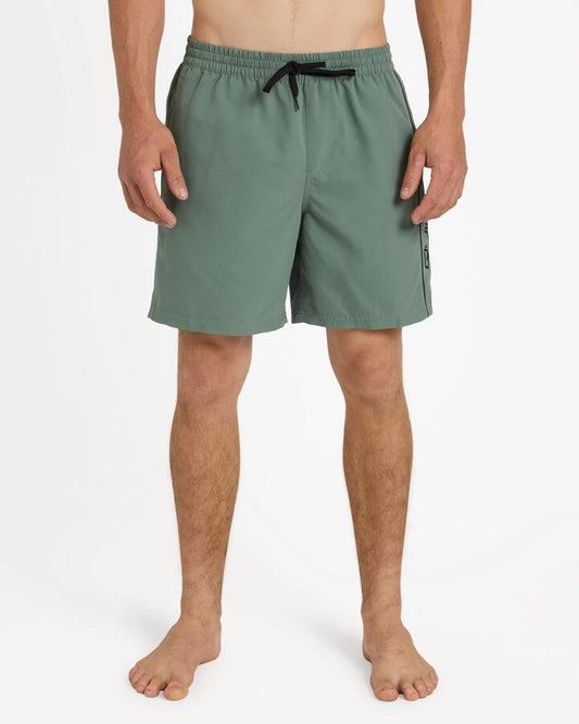 Image of a model wearing Shorts. Product name - Quiksilver Mens Everyday Vert 2.0 17" Volley Shorts Laurel Wreath in Laurel Wreath colour by brand - Quiksilver