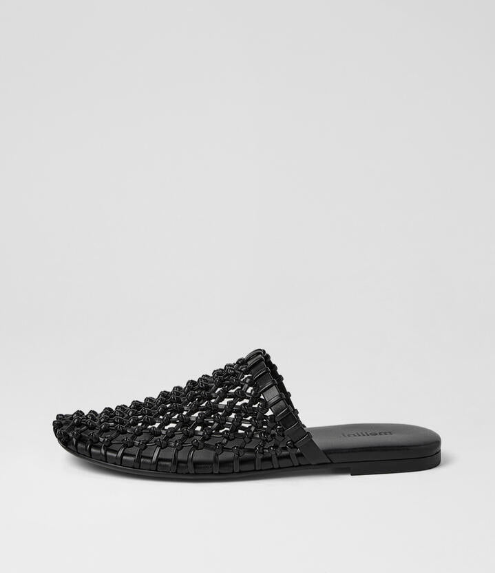 Image of Sandals. Product name - Liago Black Mules in Black colour by brand - MOLLINI