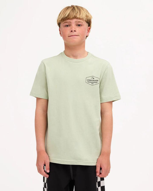 Image of T-Shirts. Product name - Quiksilver Boys 8-16 Original Hex T-Shirt Desert Sage in Desert Sage colour by brand - Quiksilver