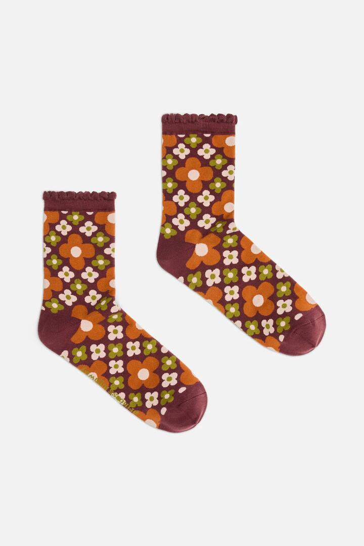 Image of Socks. Product name - Chocolate Mimi Sock in Chocolate colour by brand - Princess Highway