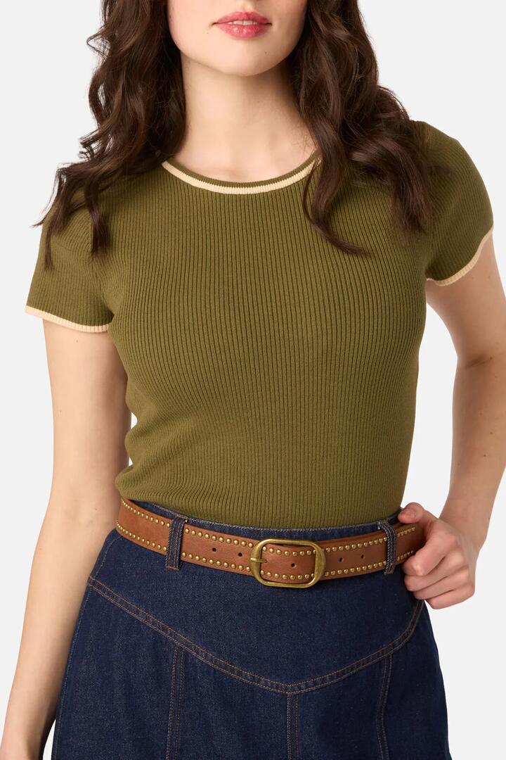 Image of Belts. Product name - Stud Belt in Chocolate colour by brand - Princess Highway