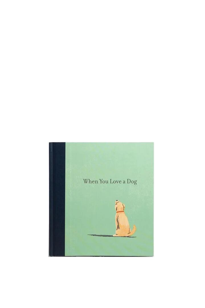 Image of Books. Product name - When You Love A Dog in colour by brand - Compendium
