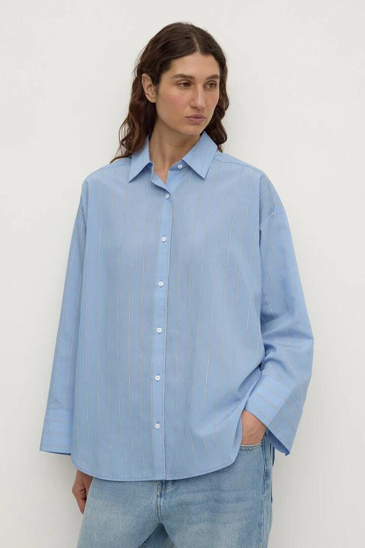 Image of Shirts. Product name - Delaney Blue Italian Stripe Shirt in Blue colour by brand - Assembly Label