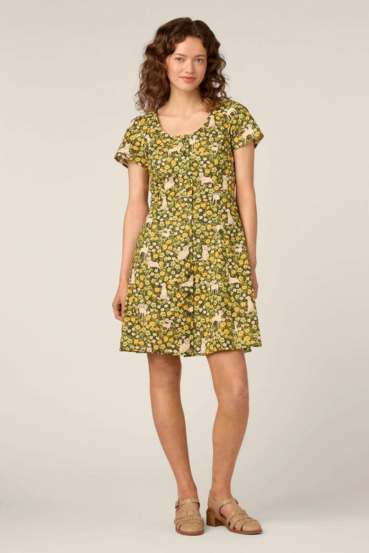 Image of Dresses. Product name - Dogs & Flowers Mini Dress in Green colour by brand - Princess Highway