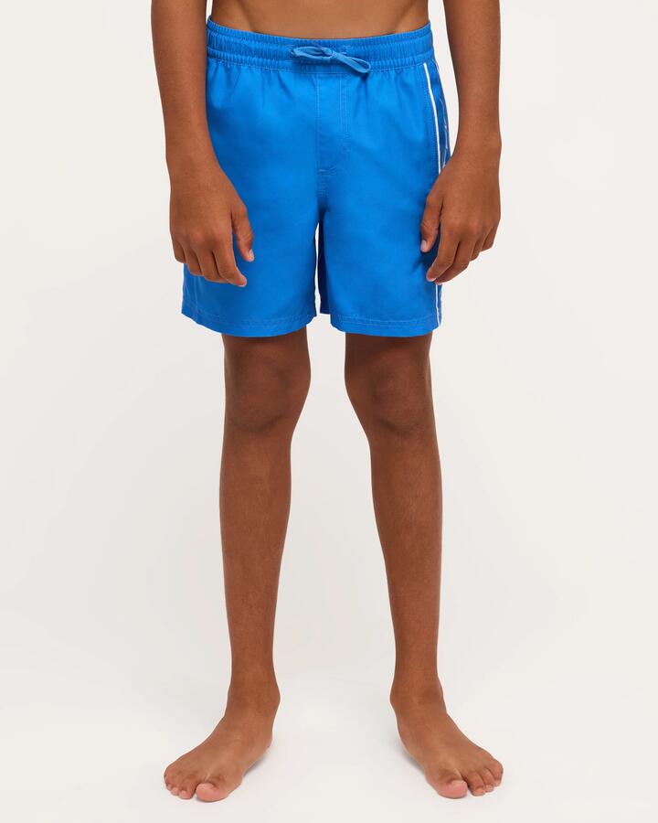 Image of a model wearing Shorts. Product name - Quiksilver Boys 8-16 Everyday Vert 14" Volley Shorts Palace Blue in Palace Blue colour by brand - Quiksilver