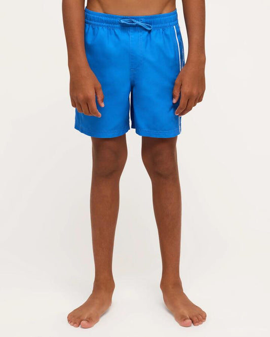 Image of a model wearing Shorts. Product name - Quiksilver Boys 8-16 Everyday Vert 14" Volley Shorts Palace Blue in Palace Blue colour by brand - Quiksilver