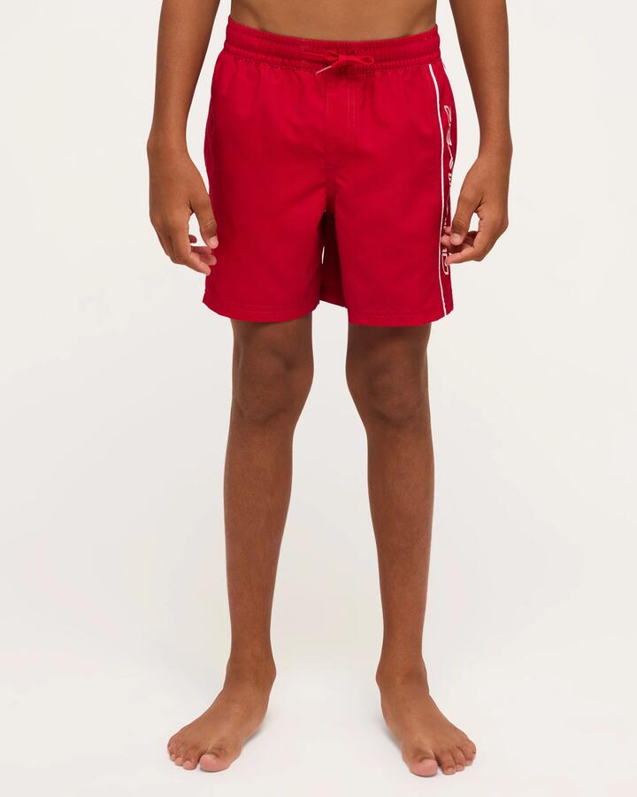 Image of a model wearing Shorts. Product name - Quiksilver Boys 8-16 Everyday Vert 14" Volley Shorts Salsa in Salsa colour by brand - Quiksilver