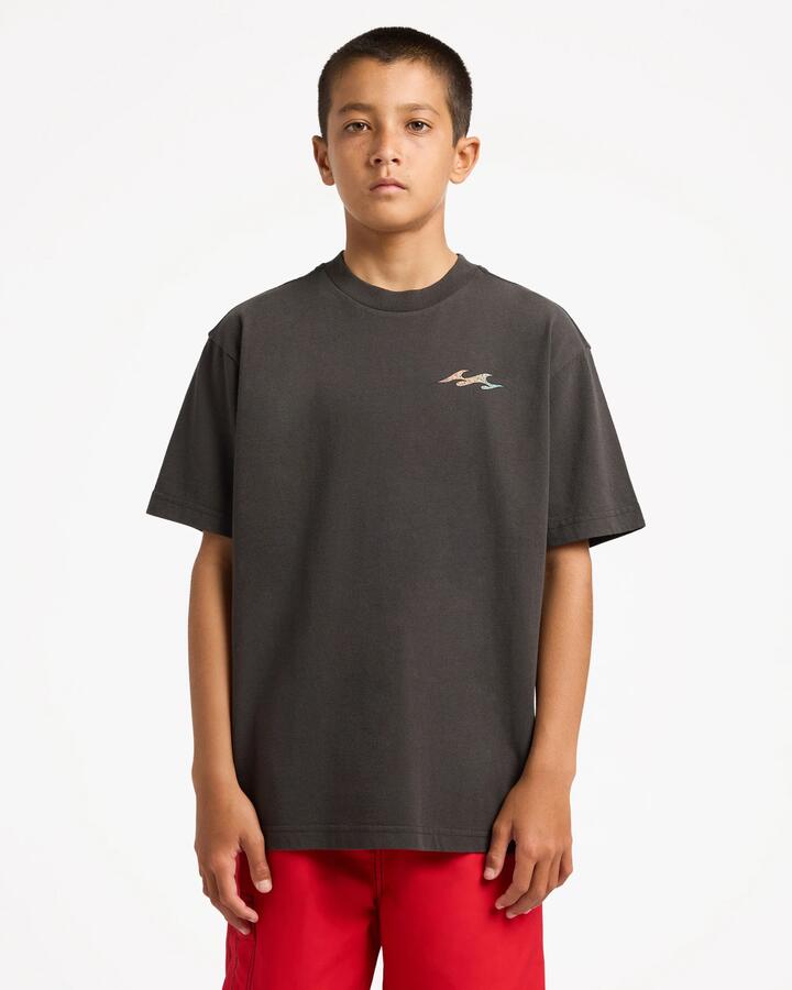 Image of T-Shirts. Product name - Billabong Boys 8-16 Boys Flare T-Shirt Raven in Raven colour by brand - Billabong