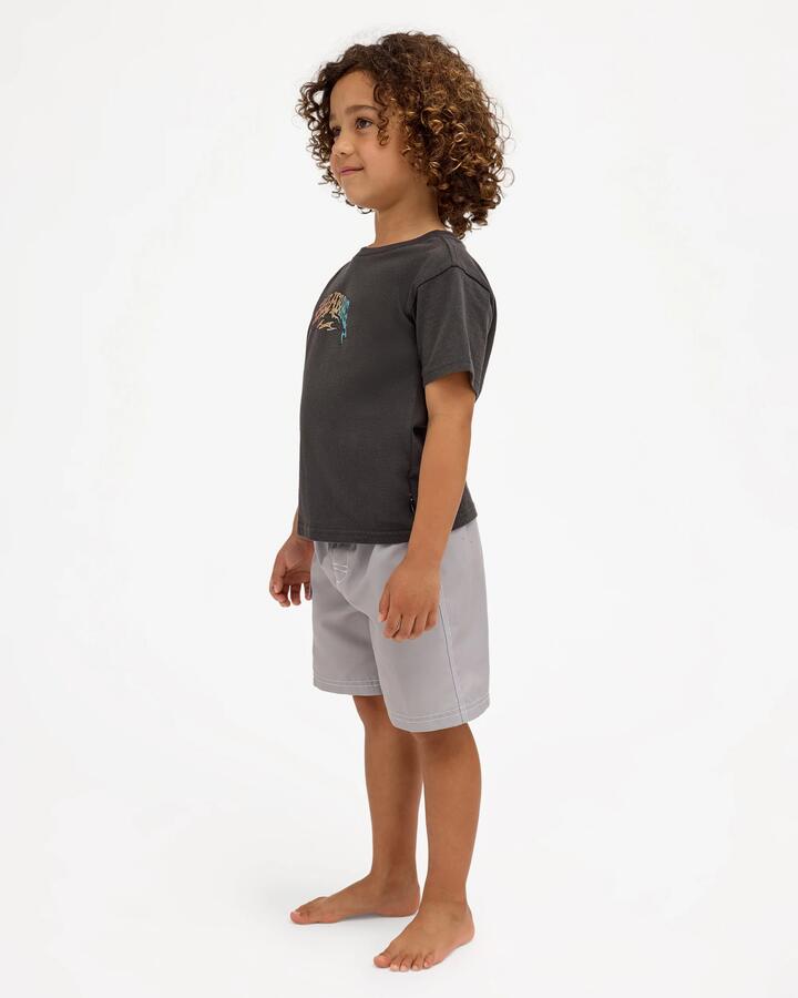 Image of T-Shirts. Product name - Billabong Boys 2-7 Groms Flare T-Shirt Raven in Raven colour by brand - Billabong