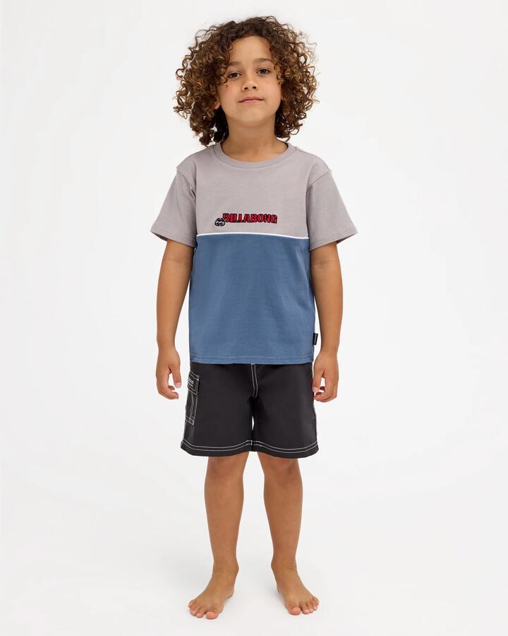 Image of T-Shirts. Product name - Billabong Boys 2-7 Groms Spec 73 Legacy T-Shirt Ash in Ash colour by brand - Billabong