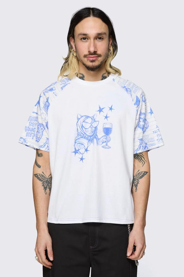 Image of T-Shirts. Product name - Sketchy Raglan Tee in White colour by brand - Dangerfield