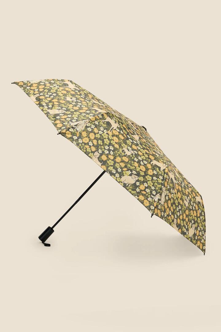 Image of Rain Umbrellas. Product name - Sweet Dogs Umbrella in Green colour by brand - Princess Highway