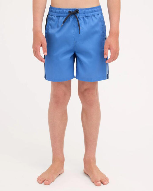 Image of a model wearing Shorts. Product name - Quiksilver Boys 8-16 Everyday Holmes 14" Volley Shorts Palace Blue Holmes in Palace Blue Holmes colour by brand - Quiksilver