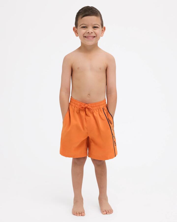 Image of a model wearing Shorts. Product name - Quiksilver Boys 2-7 Everyday Vert 13" Voley Shorts Jaffa Orange in Jaffa Orange colour by brand - Quiksilver
