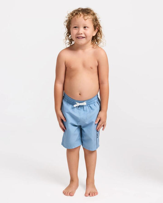 Image of a model wearing Shorts. Product name - Quiksilver Boys 2-7 Everyday Vert 13" Volley Shorts Faded Denim in Faded Denim colour by brand - Quiksilver