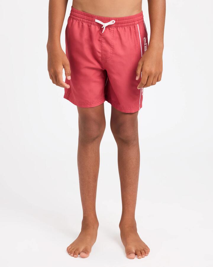 Image of a model wearing Shorts. Product name - Quiksilver Boys 8-16 Everyday Vert 14" Volley Shorts Mineral Red in Mineral Red colour by brand - Quiksilver