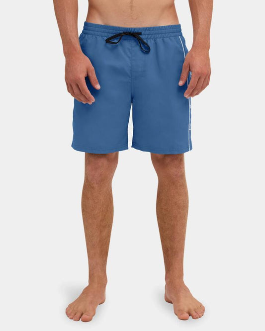Image of a model wearing Shorts. Product name - Quiksilver Mens Everyday Vert 2.0 17" Volley Shorts Star Sapphire in Star Sapphire colour by brand - Quiksilver