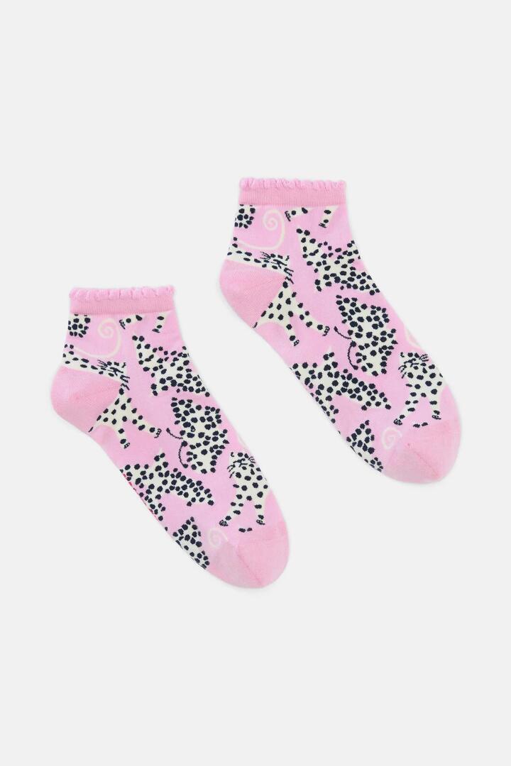 Image of Socks. Product name - Right Meow Ankle Sock in Multi colour by brand - Gorman