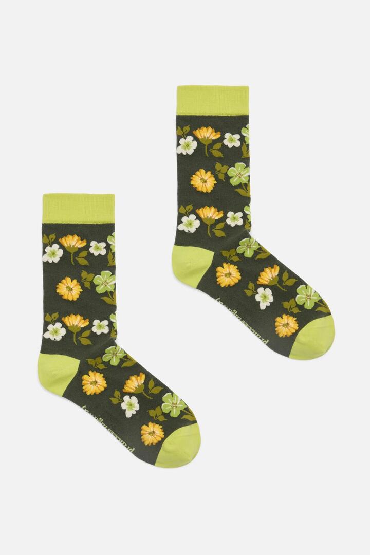 Image of Socks. Product name - Meadow Sock in Green colour by brand - Princess Highway