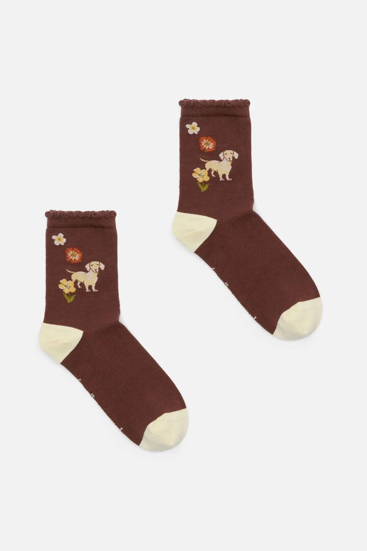 Image of Socks. Product name - Dachshund Sock in Chocolate colour by brand - Princess Highway