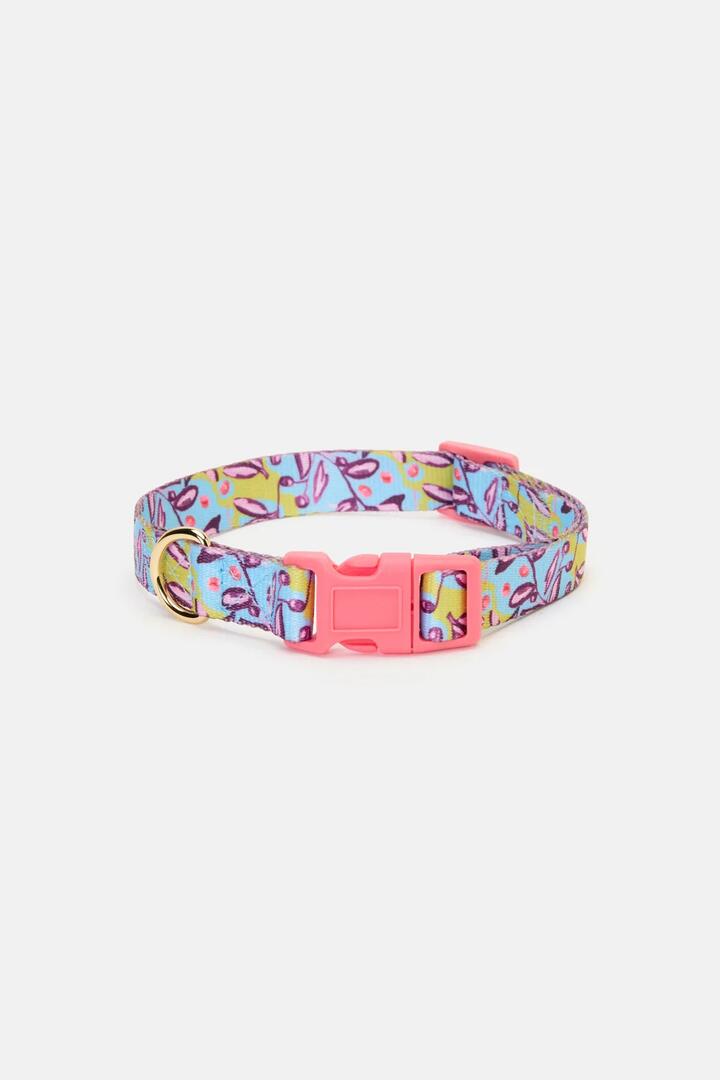 Image of Pet Supplies. Product name - Blueberries Pet Collar Small in Print colour by brand - Gorman