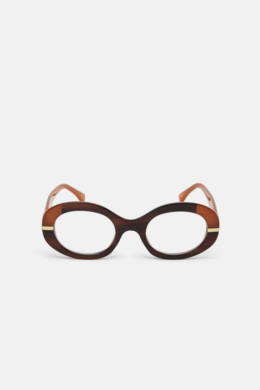 Image of Sunglasses. Product name - Caity Readers in Multi colour by brand - Gorman