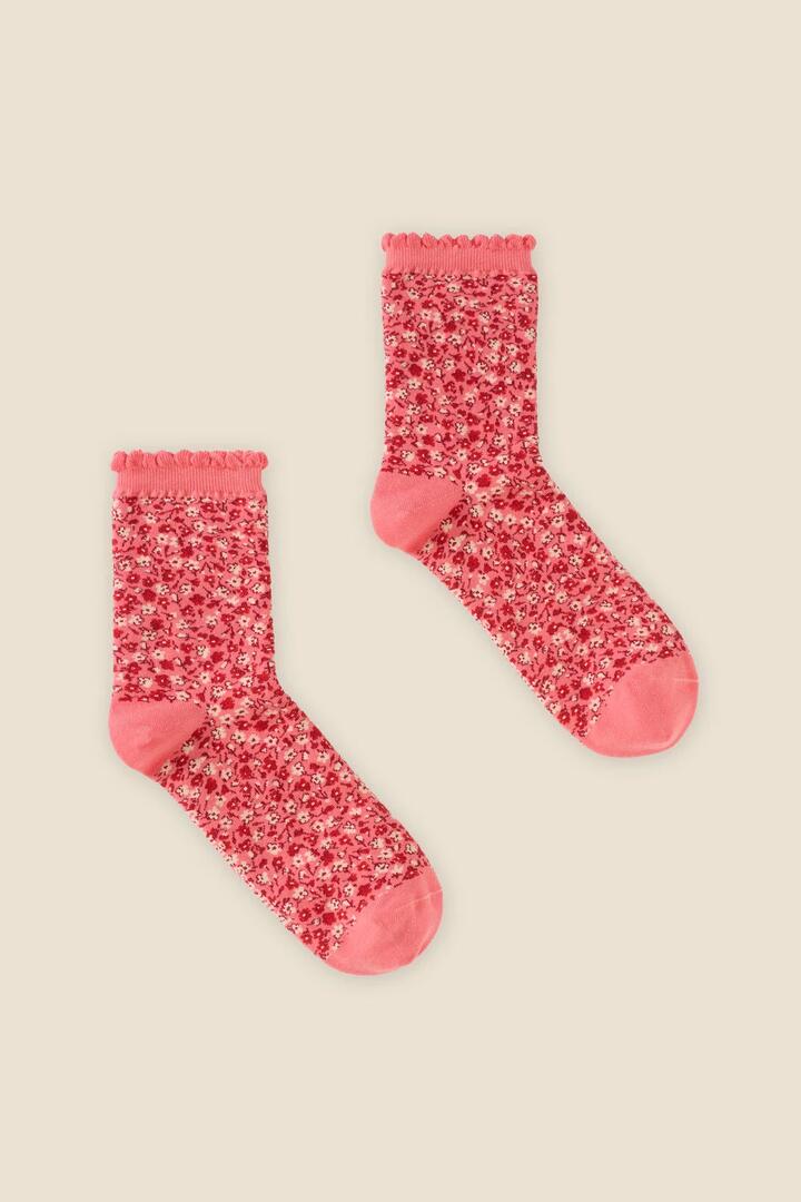 Image of Socks. Product name - Pink Ditsy Fleur Sock in Pink colour by brand - Princess Highway