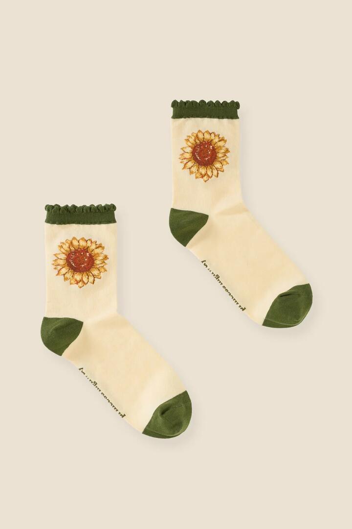 Image of Socks. Product name - Sunflower Sock in Cream colour by brand - Princess Highway
