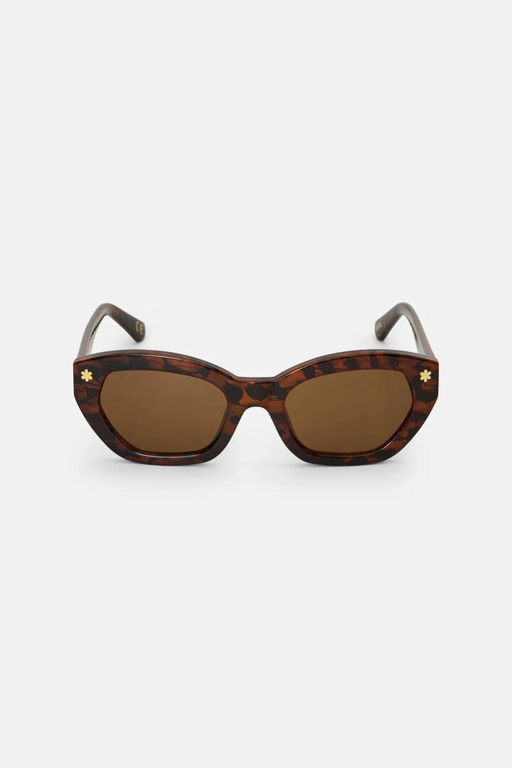 Image of Sunglasses. Product name - Cecil Sunglasses in Multi colour by brand - Gorman