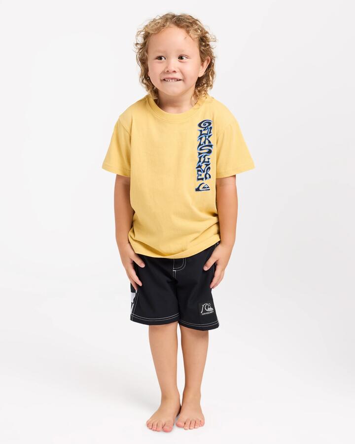 Image of T-Shirts. Product name - Quiksilver Boys 2-7 Melted T-Shirt Jojoba in Jojoba colour by brand - Quiksilver