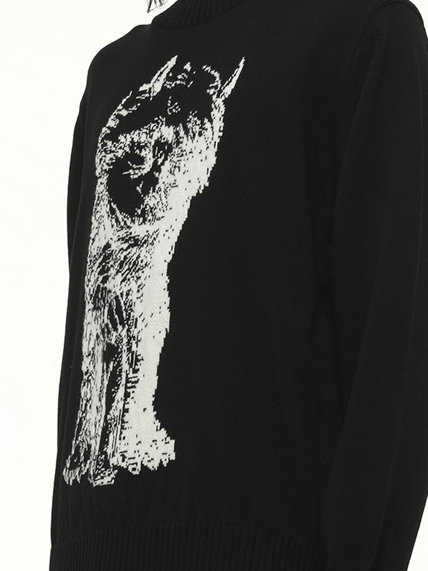 SACAI WHERE THE WILD THINGS ARE Wool Knit Pullover (Black)