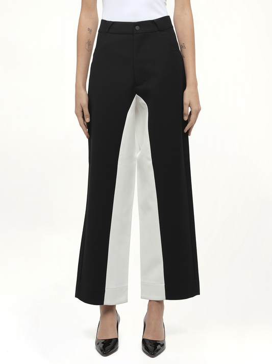 Image of a model wearing Pants. Product name - Black & White Stitched Suit Pants in Black colour by brand - FAX COPY EXPRESS