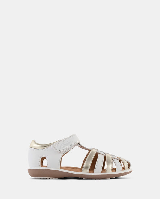 Image of Sandals. Productname: Phoebe White/Goldmetallic in White, Goldmetallic colour by brand - Clarks