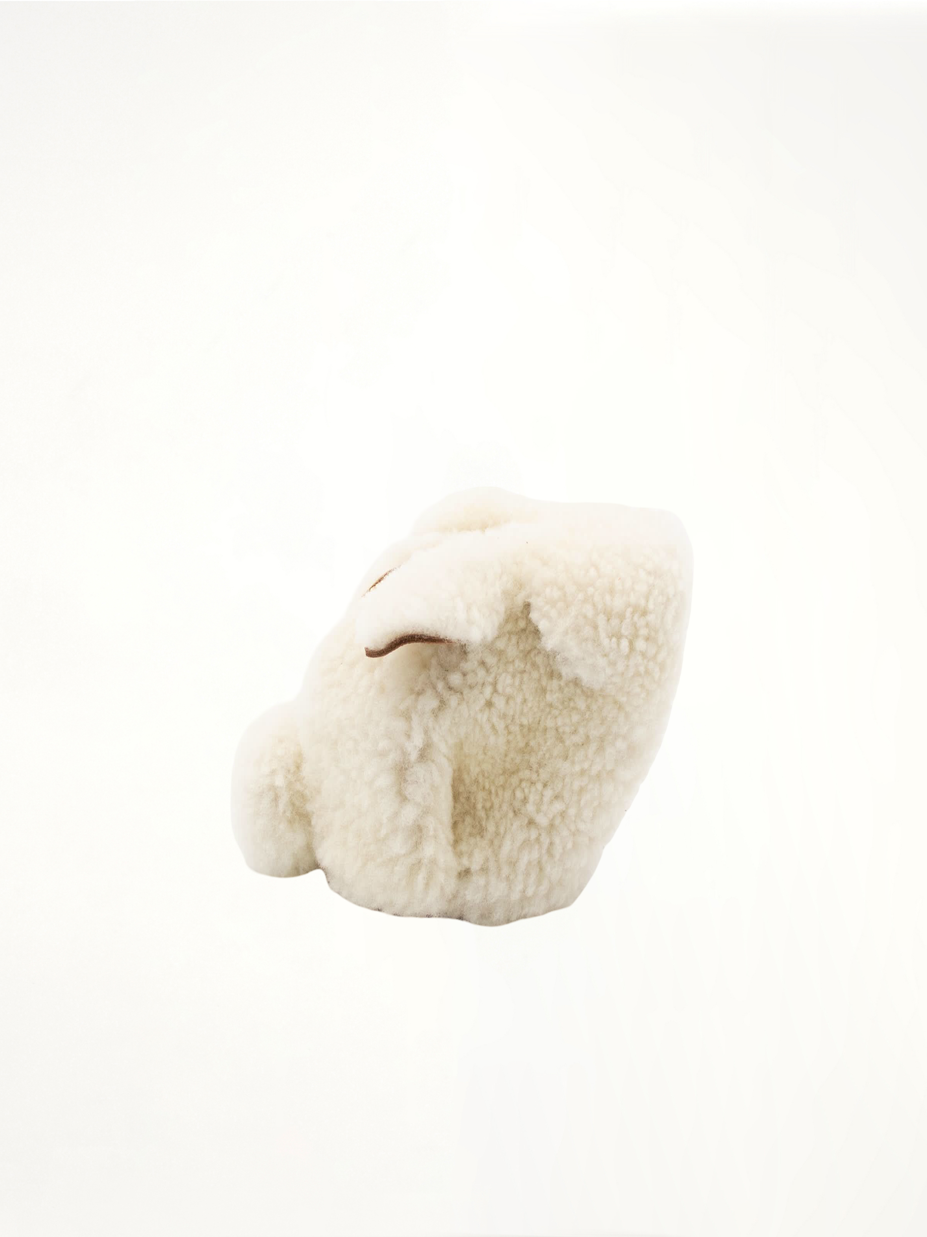 Image of Wallets & Money Clips. Productname: LOEWE Bunny Coin Purse in NATURAL colour by brand - LOEWE