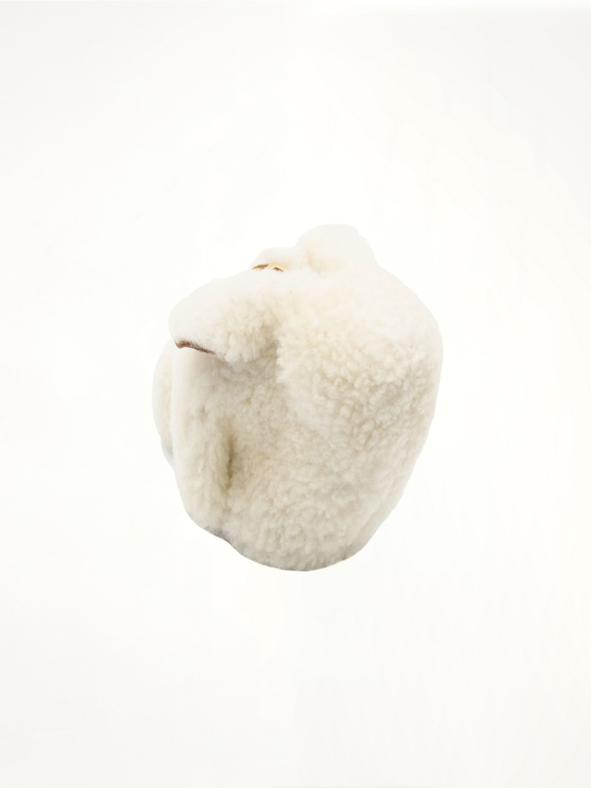 LOEWE Bunny Coin Purse (Natural)