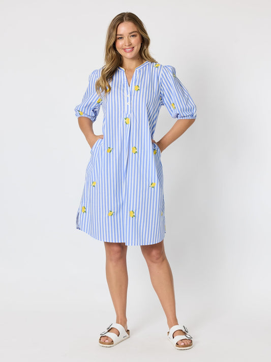 Threadz Spritz Embroidered Stripe Print Dress (Blue/White)