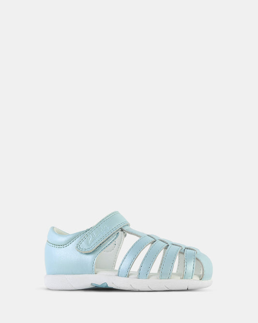 Shelly Blue