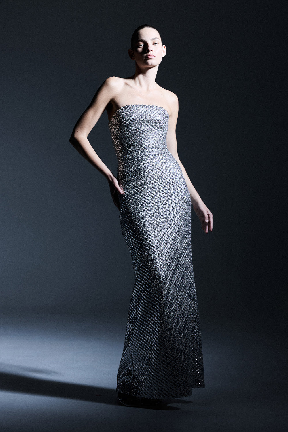 Opulent Scale Gown (Silver)