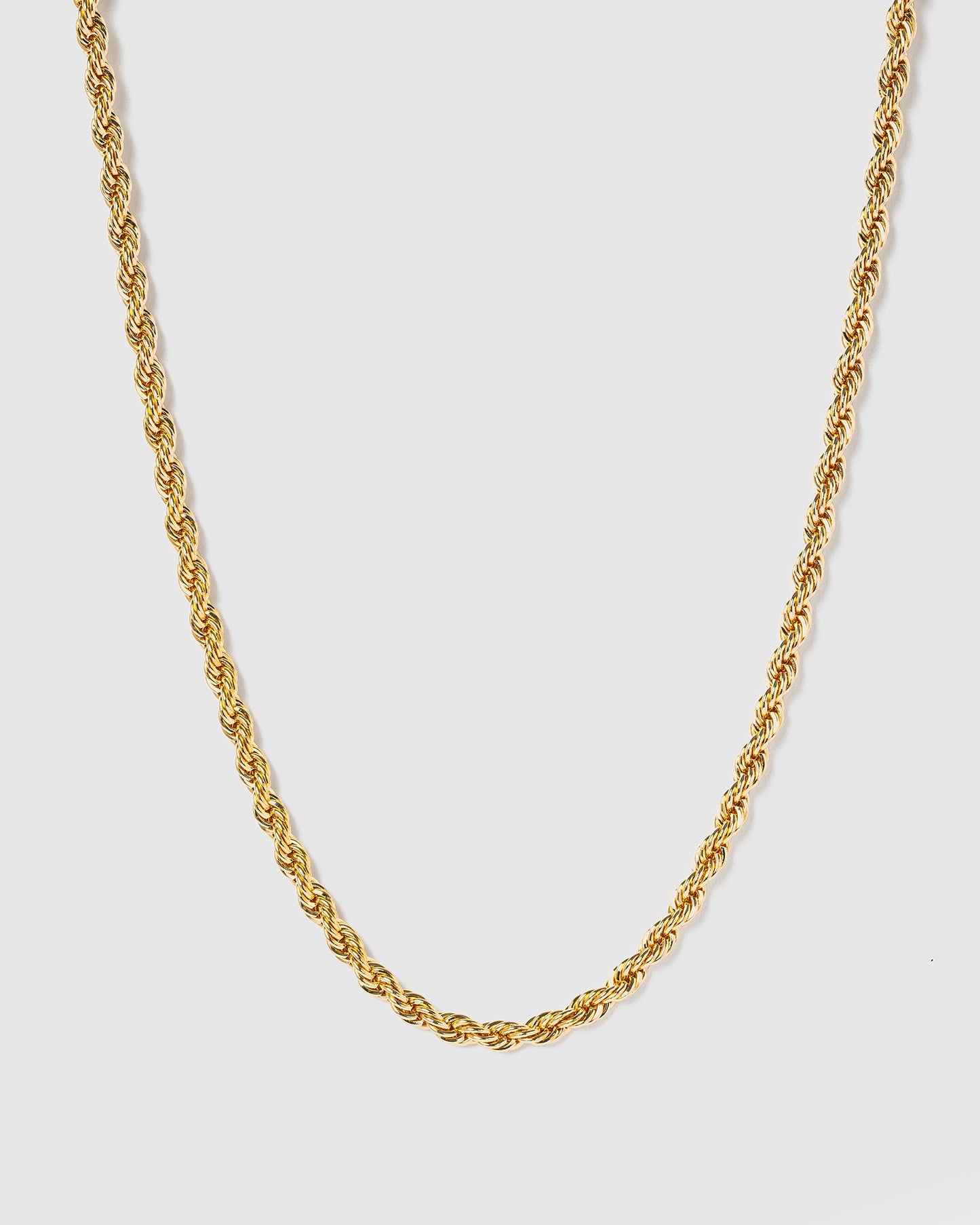 Colette by Colette Hayman Thick Rope Chain Necklace (Gold)