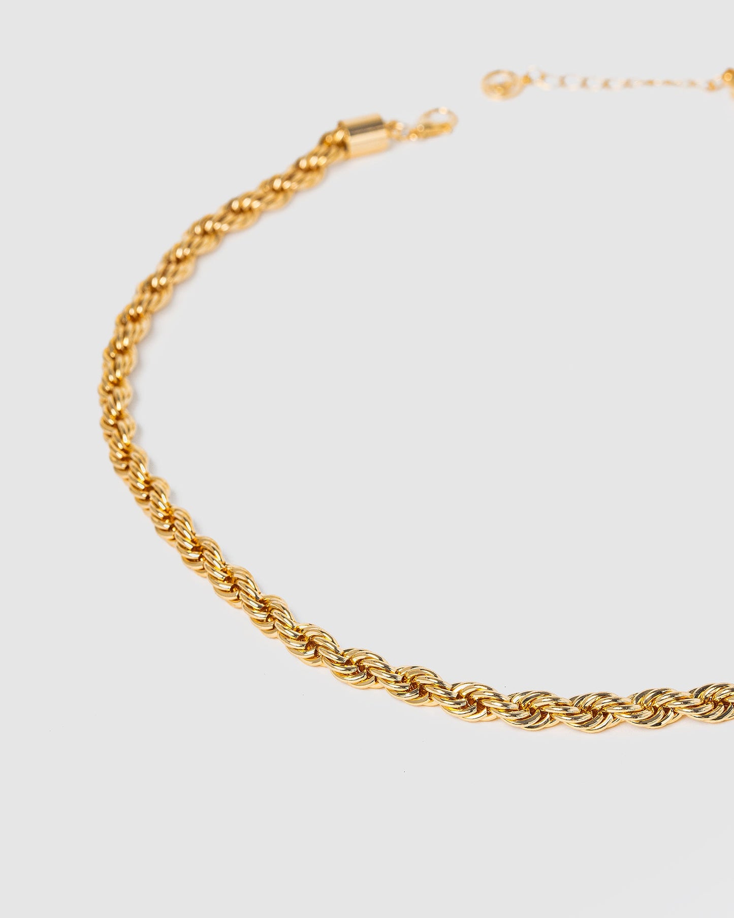 Colette by Colette Hayman Thick Rope Chain Necklace (Gold)