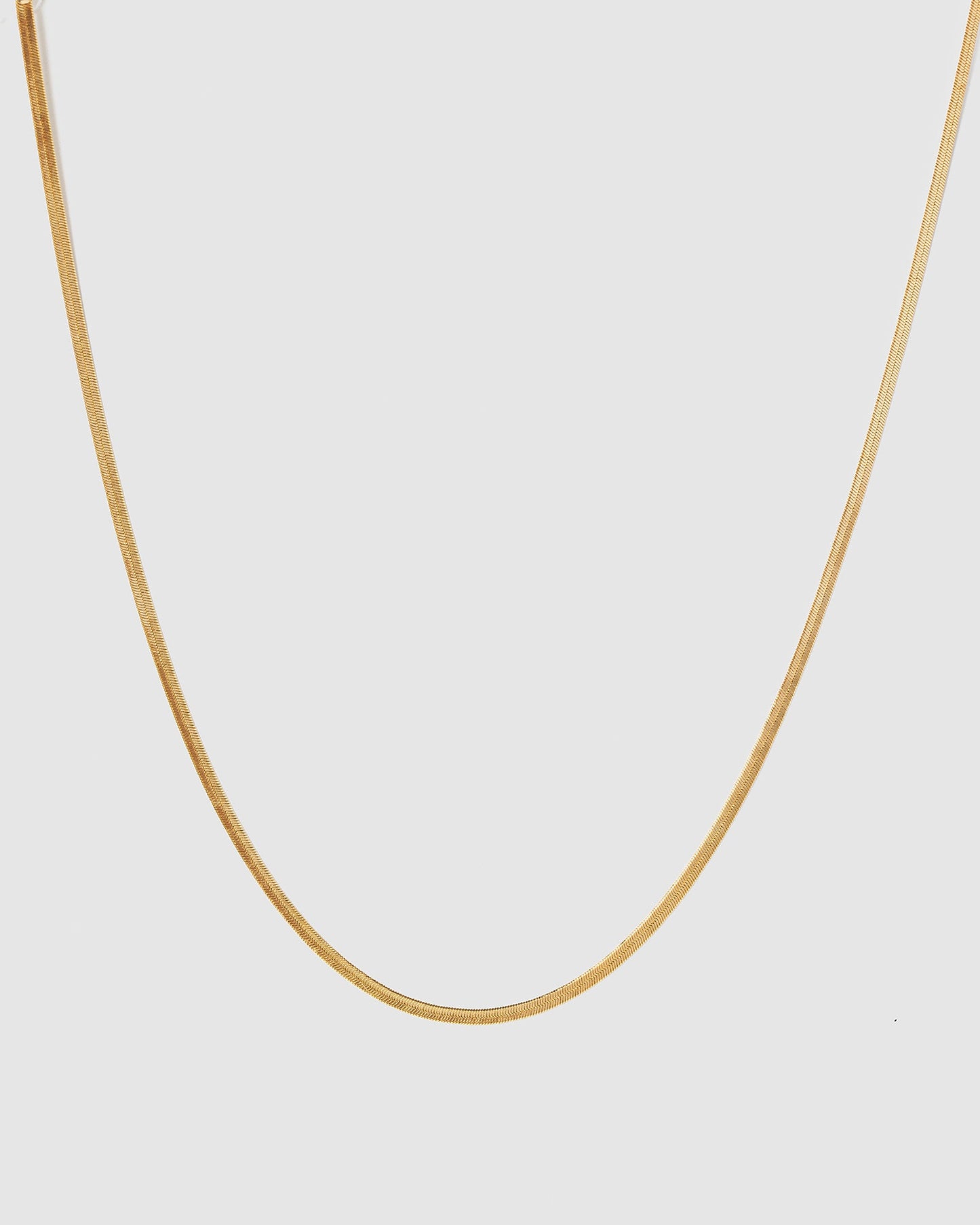 Colette by Colette Hayman Snake Chain Necklace (Gold)