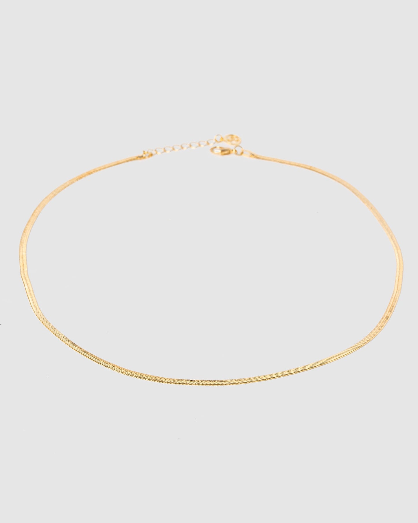 Image of Necklaces. Productname: Colette Gold Snake Chain Necklace in Gold colour by brand - Colette