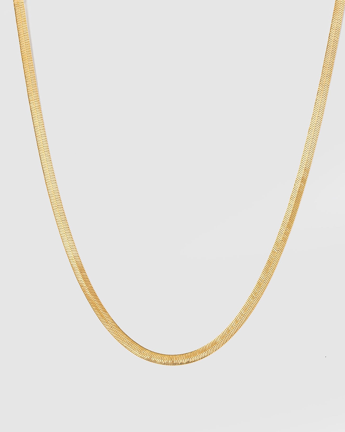 Colette by Colette Hayman Thick Snake Chain Necklace (Gold)