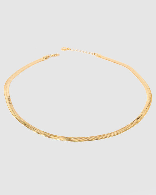 Image of Necklaces. Productname: Colette Gold Thick Snake Chain Necklace in Gold colour by brand - Colette