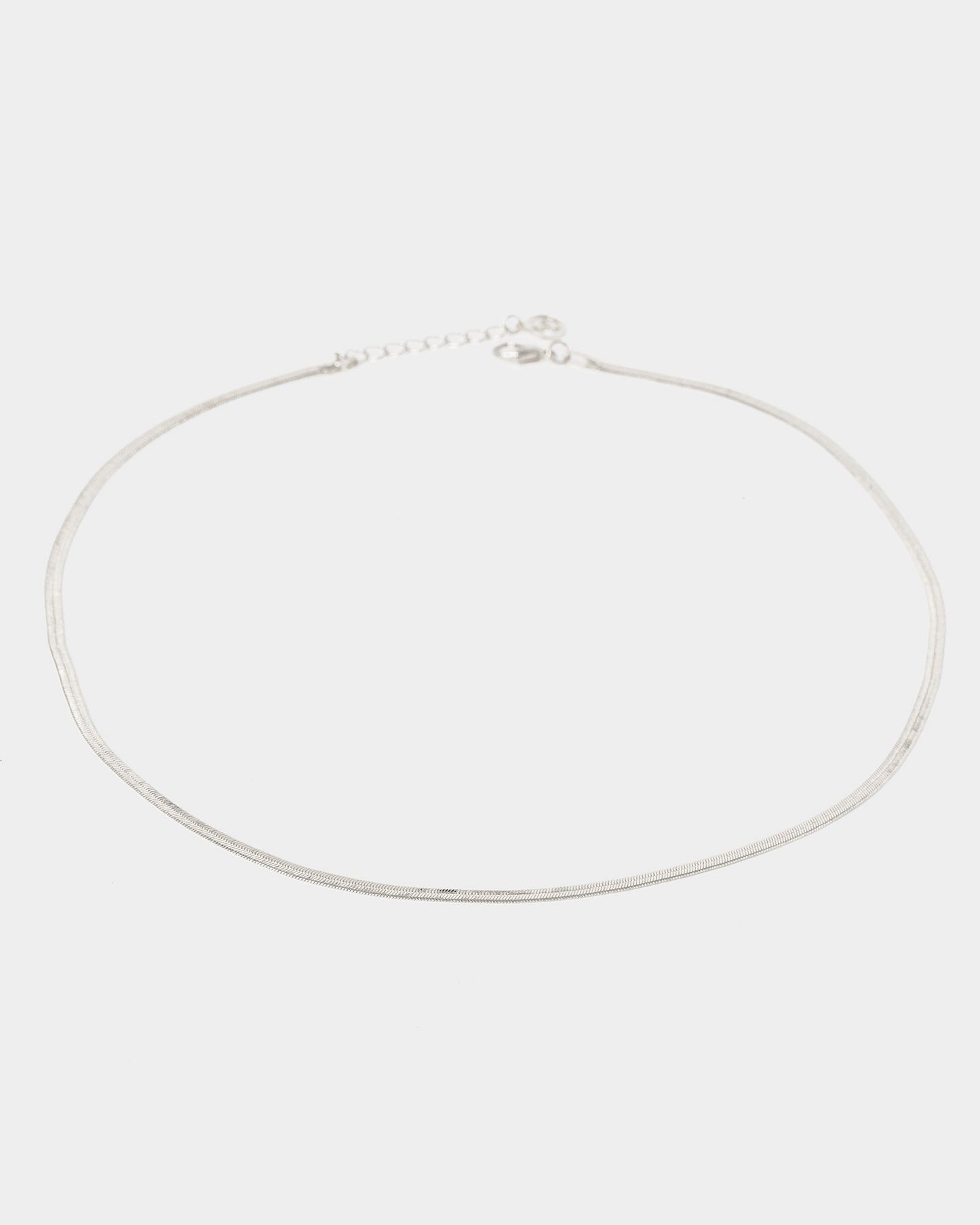 Image of Necklaces. Productname: Colette Silver Snake Chain Necklace in Silver colour by brand - Colette