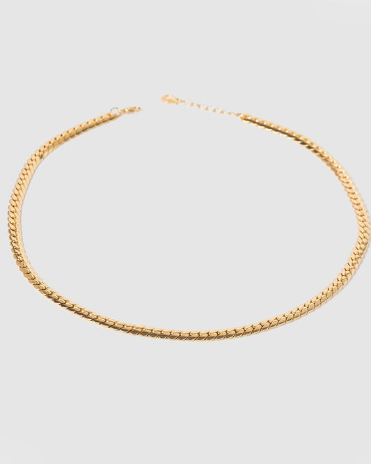 Image of Necklaces. Productname: Colette Gold Wheat Chain Necklace in Gold colour by brand - Colette