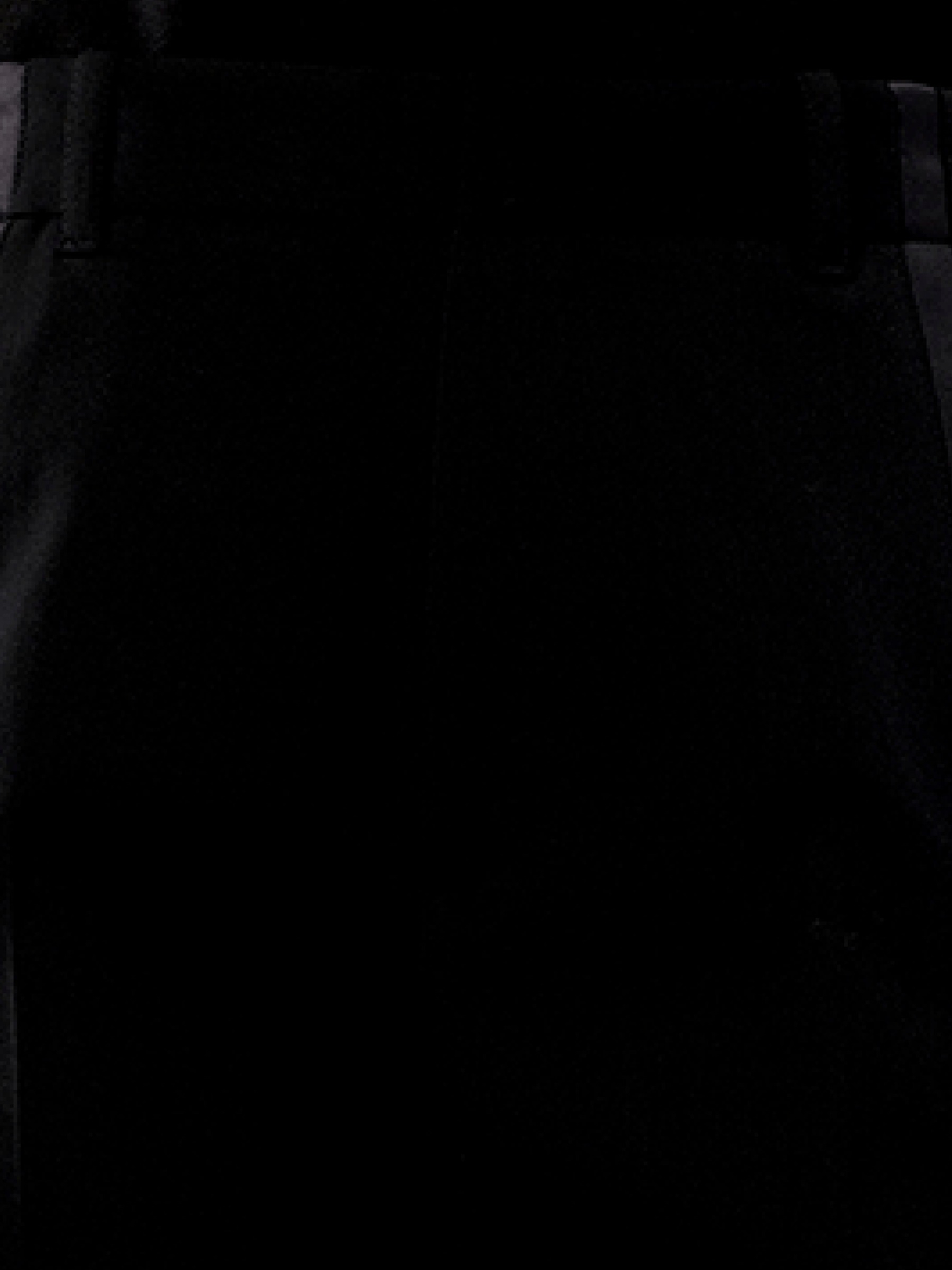 BALENCIAGA Classic Jogging Pants (Black)